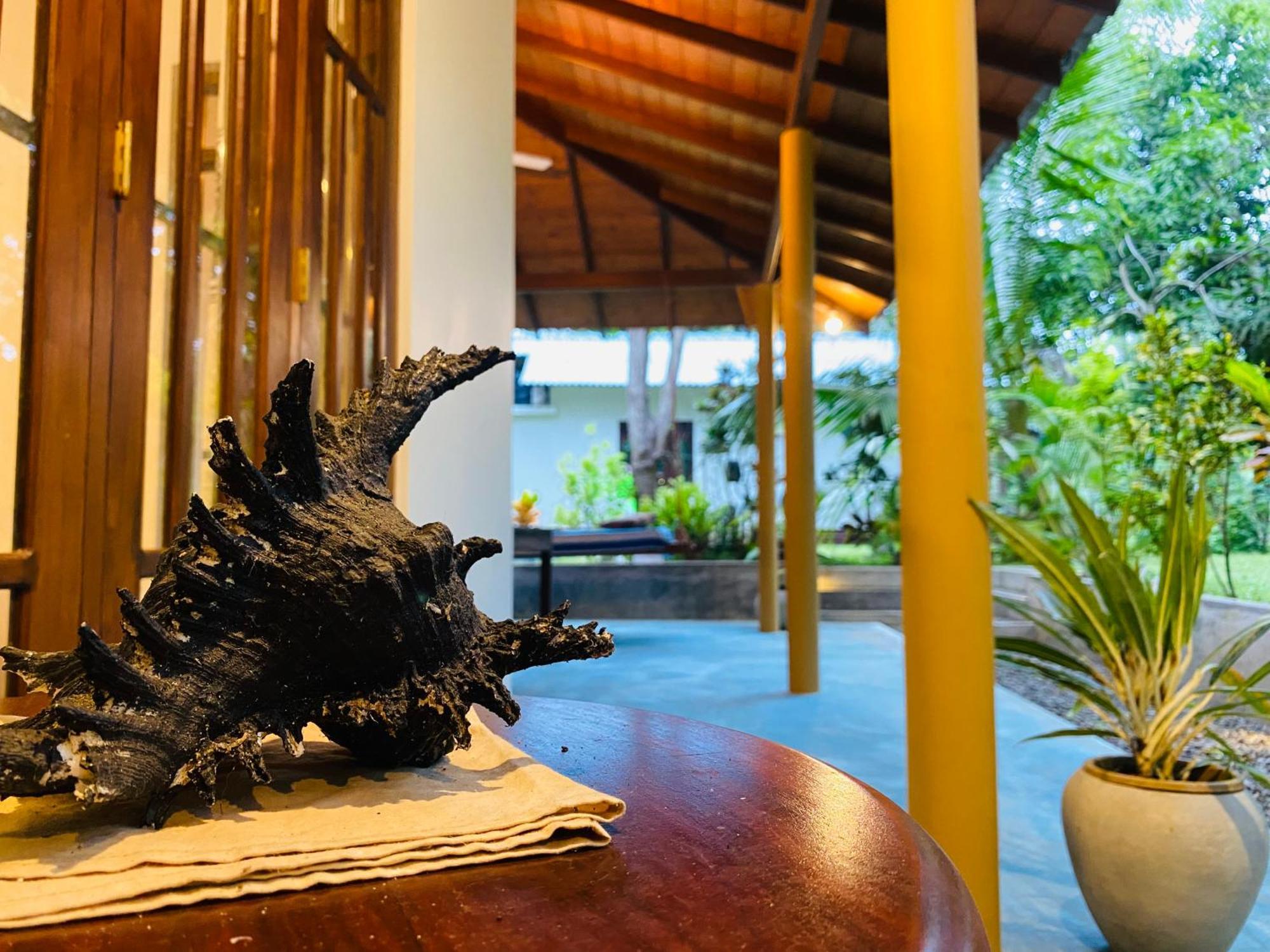 See Turtle Villa Тангалла Экстерьер фото